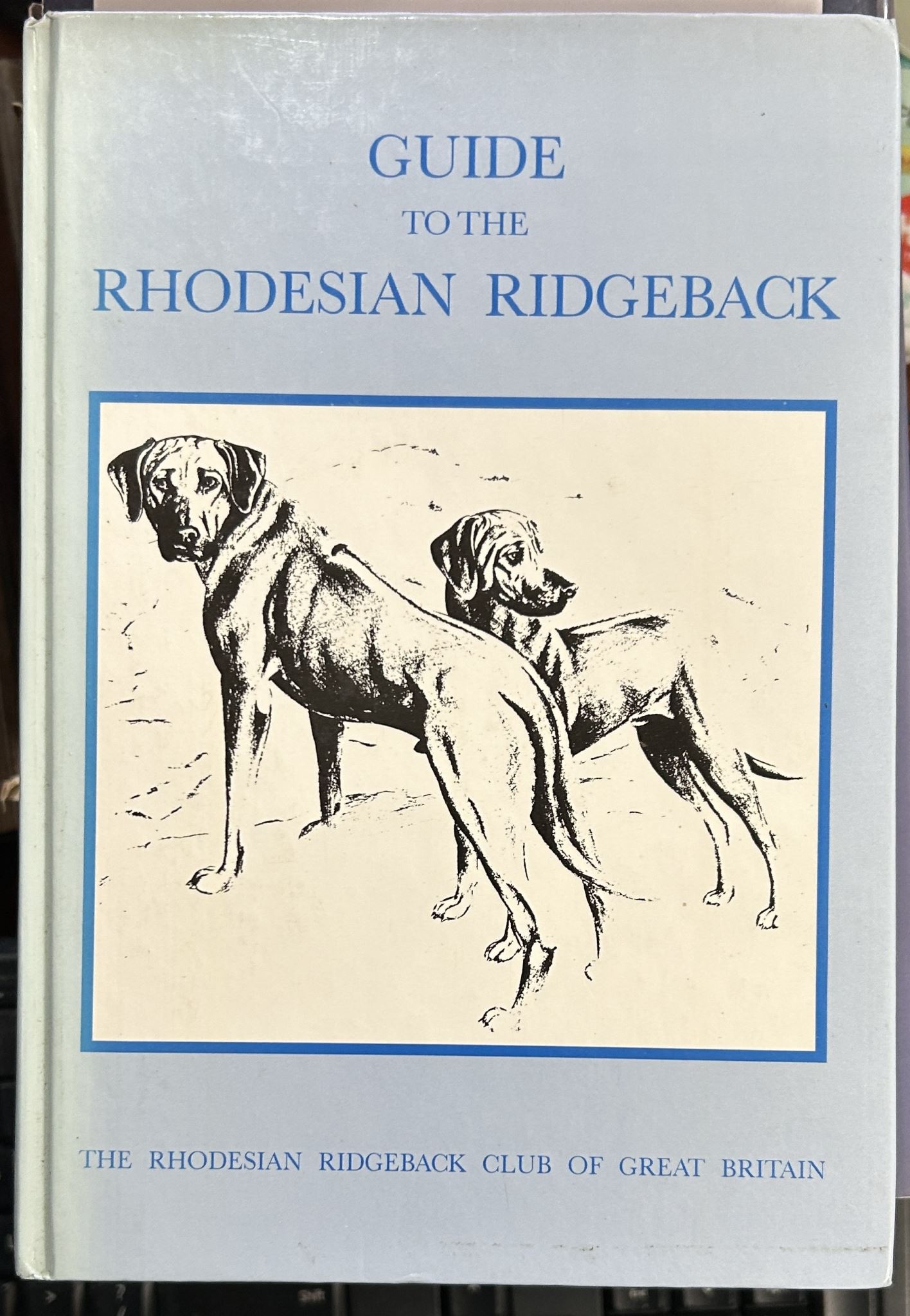 Guide to The Rhodesian Ridgeback
